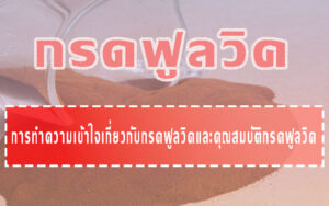 กรดฟูลวิค