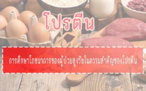 โปรตีน