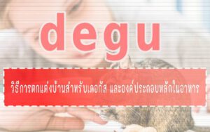 degu