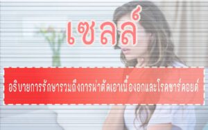 เซลล์