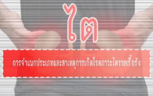 ไต